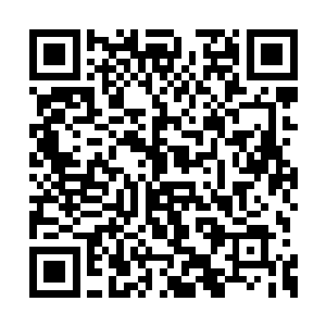 他们想在皇上进城门的第一时间提前向皇上请罪二维码生成