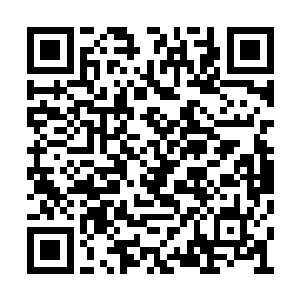 他们想要在父亲面前表现一下可是非常难得事情二维码生成