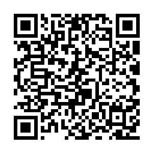 他们想起了那个在军帐中忙的像陀螺一眼的身影二维码生成