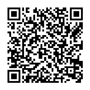 他们感觉即便是以他们现在的修为也无法安然无恙的通过这恐怖的紫色的雷暴二维码生成