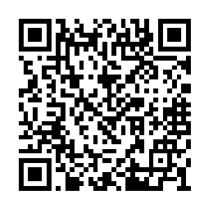 他们成为数家经纪公司和无数经纪人眼中的上帝二维码生成