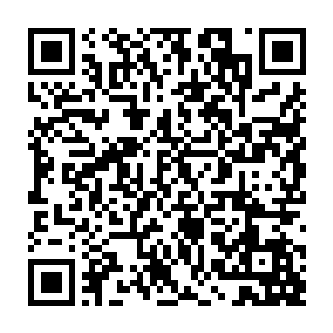 他们才会认为林烽说出要靠自己实力分数上清北大学的话语是狂妄之大了二维码生成