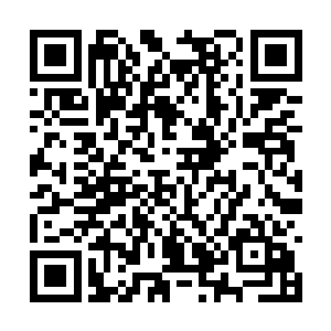 他们无法分辨出到底是谁的力量发生决定性的作用二维码生成
