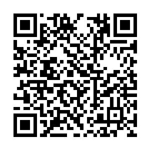 他们是通过宣传片对决活动而得到入场券的幸运儿二维码生成