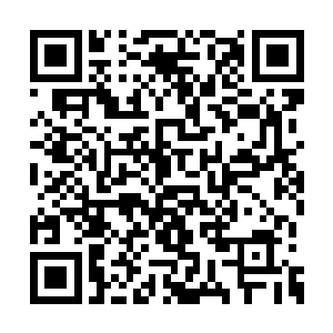 他们最希望自己养大的孩子能时刻守在自己身边二维码生成