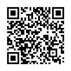 他们最快的速度对于苏落来说也不算什么二维码生成