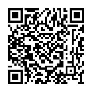 他们此前曾使用过彼得堡核能设计院大学的系统二维码生成