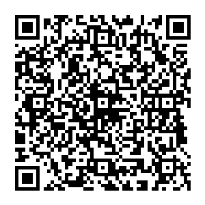 他们此时更不明白他们就是把所有人身上的所有财产全部加起来都抵不上这么一块小小的骨牌二维码生成