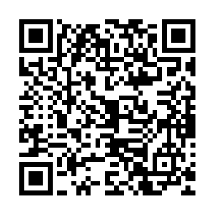 他们现在已经可以想象到夏文此时究竟是经着什么样的痛苦了二维码生成