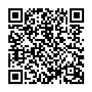 他们现在是因为有老者时不时地帮忙守护才得以维持生命安全二维码生成