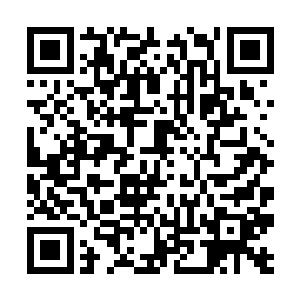 他们现阶段也未必滞留在未满三千岁的大界界王时期二维码生成