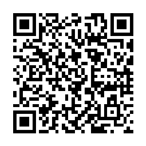 他们的一言一行都完整的呈现在了自己的神识海里…二维码生成