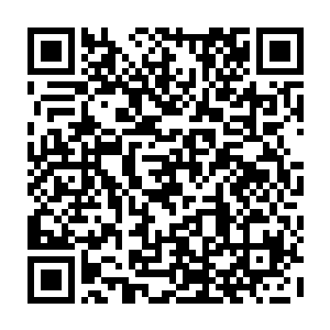 他们的人在楼下发现了原本用做安全屋的几个密室和一条通往外面的暗道二维码生成