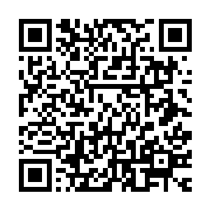 他们的修为实在是要比那十八个圣级三层一下的修士高出太多二维码生成