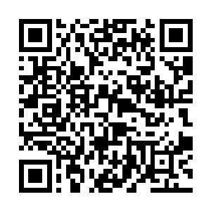 他们的喊叫声和手中握持的木棍起到的就是反作用了二维码生成