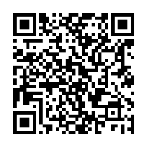 他们的打算肯定是等着沙琳毒气的效用过去后再进入二维码生成