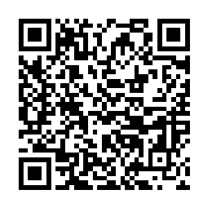 他们的掌门的确已经被联盟用某种强大的手段给干掉了二维码生成