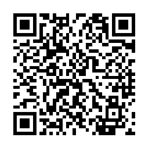 他们真没想到自己能够在小组赛中取得这样出色的成绩二维码生成