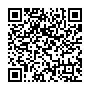 他们竟不知不觉从后花园走到了酒店客房部的员工通道二维码生成