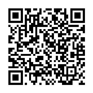 他们终其一生都要在政治档案里加上你这个何其无辜的污点二维码生成