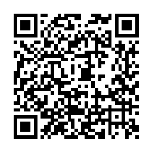 他们自然也无法从这些细微的特征上认出剑尘来二维码生成