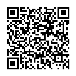 他们赶紧跑过去把那只倒霉催的狼形灵兽拖了回来二维码生成