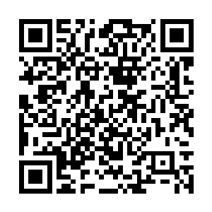 他们这些有钱的公子哥玩起这种东西还是很业余的二维码生成