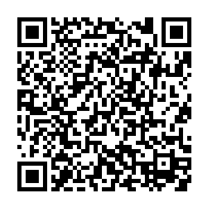 他们这次出去发现确实这里的花草树木以及动物跟飞龙部落附近相差很大二维码生成