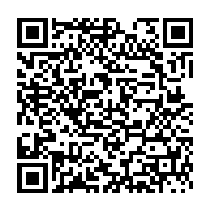 他们远离了故乡来到了陌生的地方加入了一个陌生但是庞大的组织二维码生成