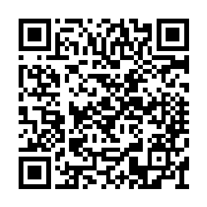 他们那边敢唧唧歪歪就直接把他们家族给我铲了二维码生成