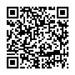 他们都想要看看这个少女究竟有什么本事来砸场子二维码生成