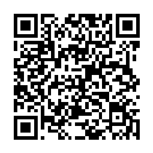 他会好好的在那里扩大一下自己羽家的形象和地位二维码生成