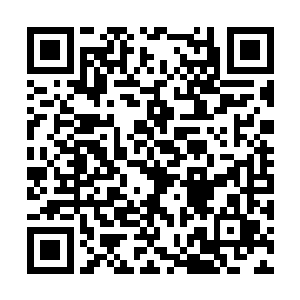 他伸出指腹细细地磨砺着苏嫣的红唇后一字一句道二维码生成