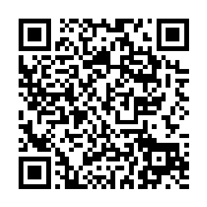 他体内的血液经过这么多天的毒药侵袭也会变得剧毒无比二维码生成