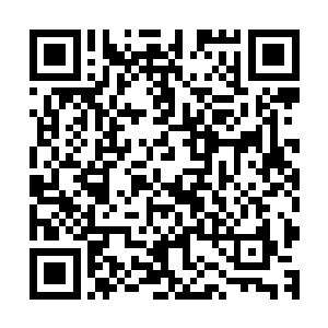 他便会把蛮荒大帝遗族众弟子进入仙灵幻洞磨练的机会翻一倍二维码生成