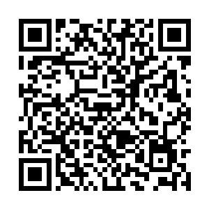 他便将体内的真气运行到全身经脉的毛细血管之中二维码生成