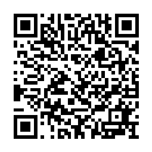 他便毫无顾忌地将灵识刺探进入灵灵的身体当中二维码生成