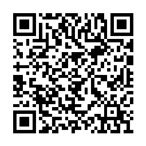 他倒想看看这个王大力的老婆到底是个什么角色二维码生成