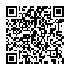 他则带了阎修光明正大地加快速度追着十人离去的方向去了二维码生成