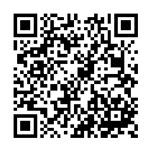 他刚才已经感觉到浓郁的生命能量已经来到附近二维码生成