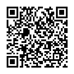 他只是一个设下陷阱等待着她自投罗网的无情猎人二维码生成