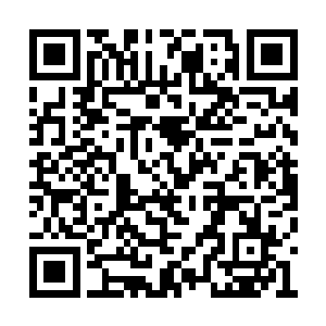 他只能以长枪或是钢刀每一击都直取对方的要害二维码生成