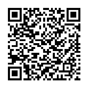 他只能在密集的血狼丧尸和一只强大的丧尸狼人之间做个选择二维码生成