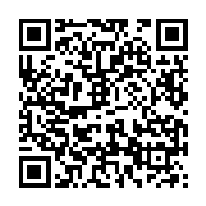 他可不认为自己随便拿点材料用火一烧就出灵器了二维码生成