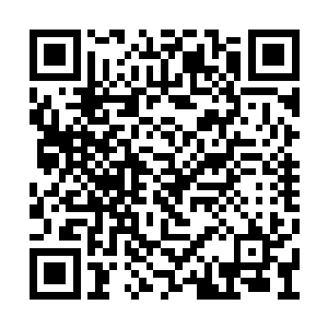 他可丝毫不将一个附属势力的宗主夫人放在眼中二维码生成