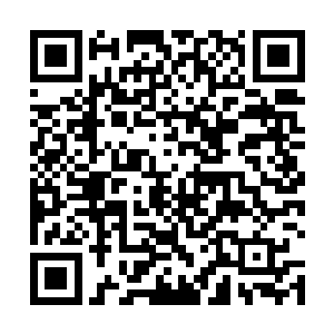他可以明显感觉到心血吸收了光幕能量后比之前更强大二维码生成