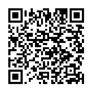 他可以清楚的看待那些巴塞罗那球迷们兴奋又期待的表情二维码生成