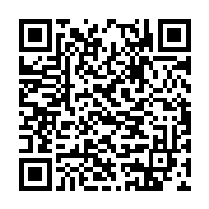 他和乔布斯每隔一段时间就会互相去对方家中拜访二维码生成