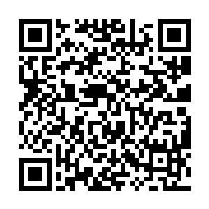 他和大长老同时向传送阵的边缘打出一道强大的元力二维码生成