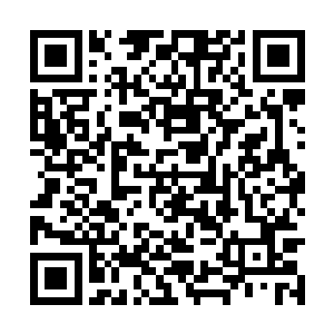 他和常务副市长姜伟就成了市长最强有力的竞选人二维码生成